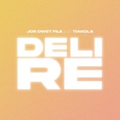 Délire (feat. Tiakola) artwork