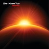 Like I Knew You - Single