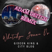 Whatchya Gonna Do (Adam Deitch Remix) artwork