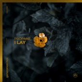 I Lay (Extended Mix) artwork