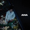 Ana - Single