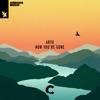 Now You're Gone - Single