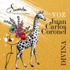 Juan Carlos Coronel - Divina