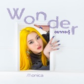 อยากจะรู้ (wonder) artwork