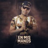 En Mis Manos - Single