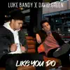 Like You Do (feat. David Green) - Single album lyrics, reviews, download