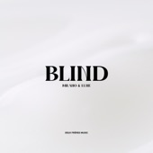 Blind artwork