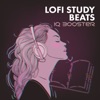 LoFi Study