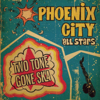 Two Tone Gone Ska - Phoenix City All-Stars