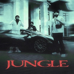 JUNGLE cover art