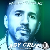 You Didn't Love Me (feat. Aktual) artwork