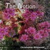 The Notion - Single, 2023