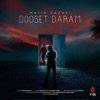 Dooset Daram - Single