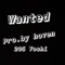 Wanted - 205 Yoshi lyrics