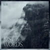 Lost for Words - Single