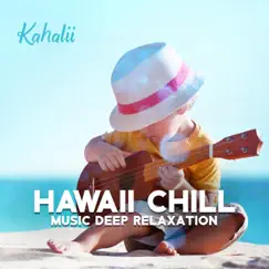 Hawaii Chill Music Deep Relaxation: Summer Time at the Beach by Kahalii & Soothing Chill Out for Insomnia album reviews, ratings, credits