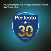 Say You're Mine - Paul Oakenfold, Nat Monday & Christina Novelli