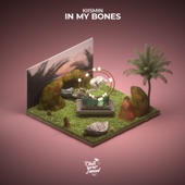 In My Bones artwork