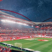 BENFICA AMOR DA MINHA VIDA artwork