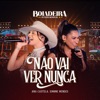 Boiadeira Internacional: Não Vai Ver Nunca - Single