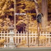 Golden Leaves - Single