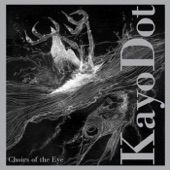 Kayo Dot - The Manifold Curiosity