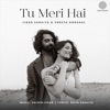 Tu Meri Hai - Single