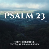 Psalm 23 (Instrumental Version) artwork