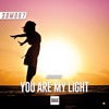 You Are My Light (2022 Remix) - Single