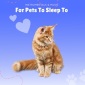 Instrumentals & Music For Pets to Sleep To artwork