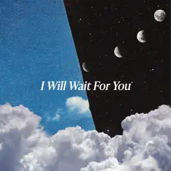 I Will Wait for You (feat. Alex Taylor) Song Lyrics
