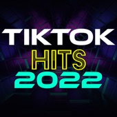 TikTok Hits 2022 artwork