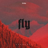 Fly artwork