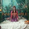 INIMAGINABLE - Single