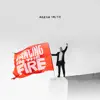 Dancing in the Fire (Deluxe) album lyrics, reviews, download