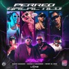 PERREO GALACTICO RMX - Single