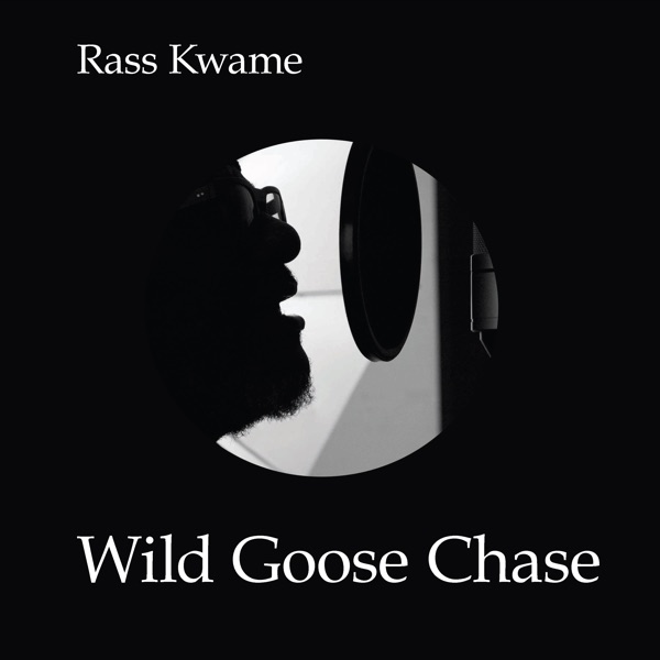 Wild Goose Chase (V. Paris)