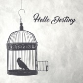 Hello Destiny (feat. Solitary Experiments) artwork