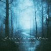Forest of Ember Skies - Stay Here With Me
