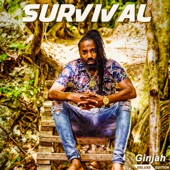 Survival (Deluxe) artwork