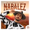 No Te Prometo Nada - Single