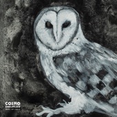 Cosmo Sheldrake - Owl Song