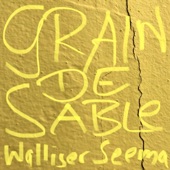 Grain de sable (feat. Chantal Glassier) artwork