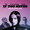 If You Never (Christian Eberhard Remix) [feat. Christian Eberhard] - Single
