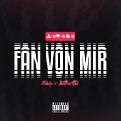 Fan von mir (feat. Authentic) artwork