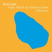 Green-Yellow Field (Sofie Birch & Johan Carøe Remix) - Single