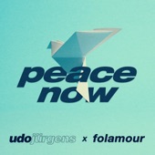Peace Now (Folamour Remix) artwork