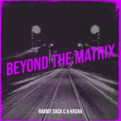 Beyond the Matrix - Single by Rabbit Sack C & KR$NA album reviews, ratings, credits