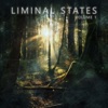 Liminal States: Volume 1