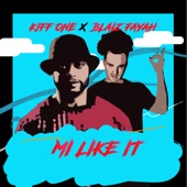 Mi Like It (feat. Blaiz Fayah) artwork
